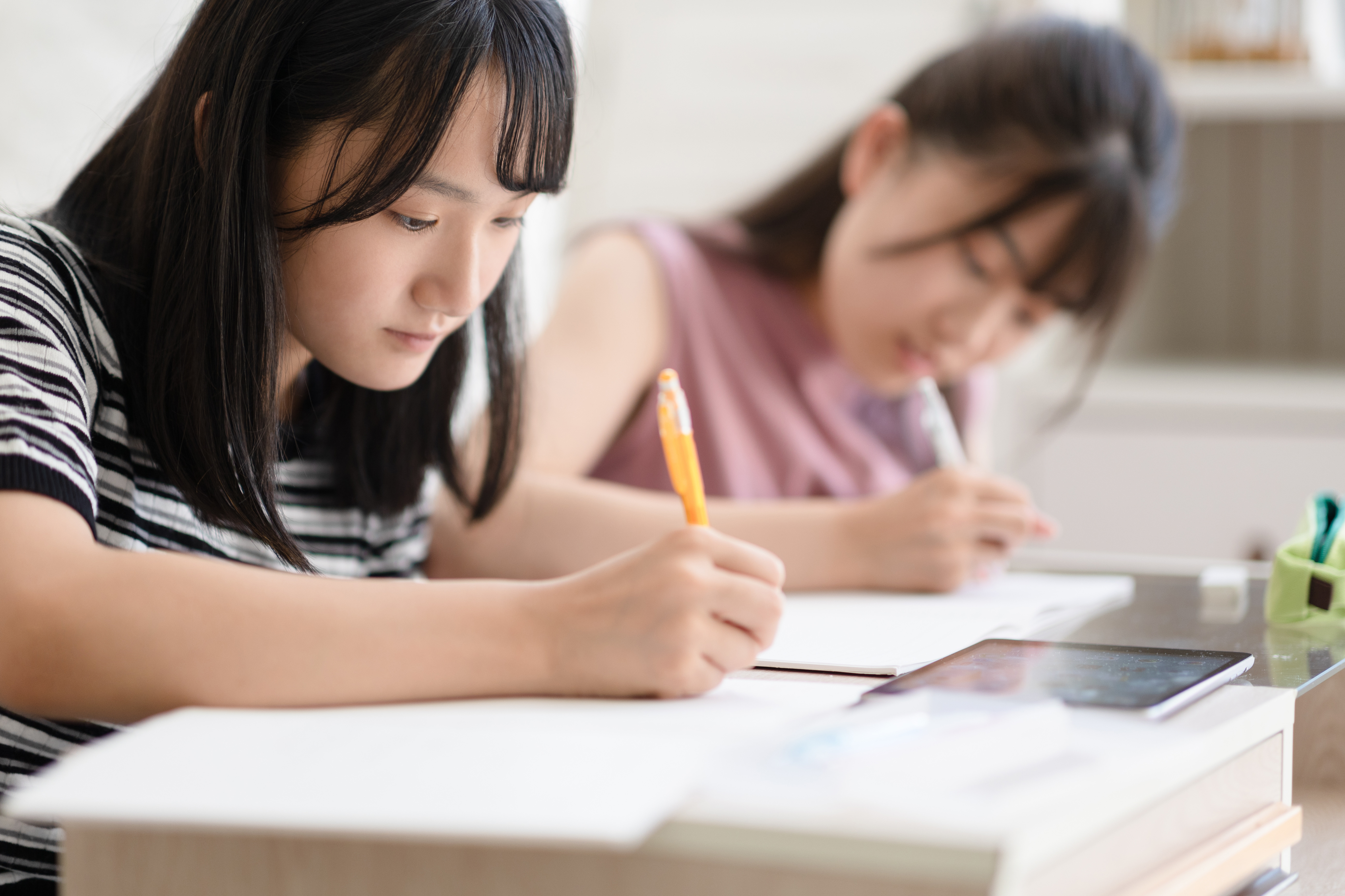 ischool-コース・料金3