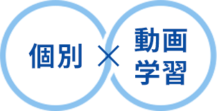 個別と動画学習のハイブリッド