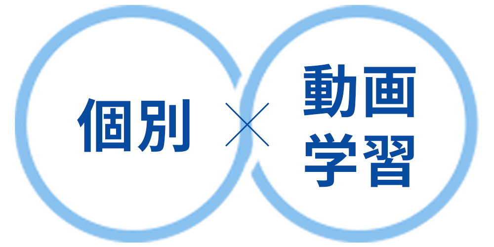 個別と動画学習のハイブリッド