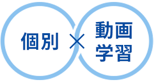 個別と動画学習のハイブリッド